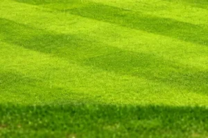 Lire la suite à propos de l’article Les Forfaits